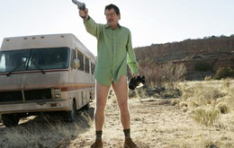 Breaking Bad (TV-Serie) - Staffel 1